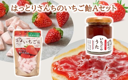 2525R_はっとりさんちのいちご飴Aセット