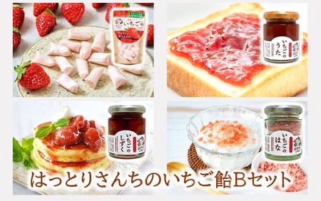 2526R_はっとりさんちのいちご飴Bセット