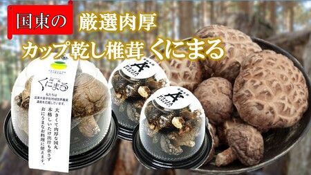 2547R_国東の厳選肉厚カップ乾し椎茸 くにまる 特大1・小2