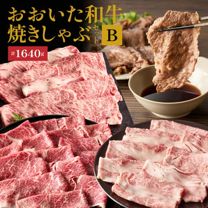 tĂǂIáuĂԁv3ZbgBiv1640gj_2502R