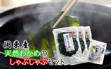 2551R_風味が違います!国東天然わかめのしゃぶしゃぶセット(湯通し塩蔵わかめ360g 厳選出汁パック付き)