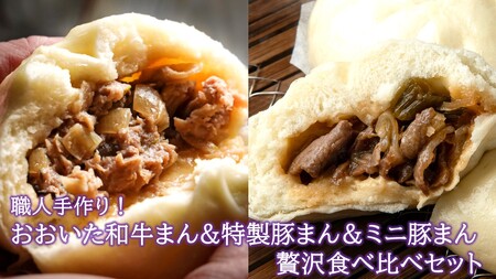 職人手作りの「おおいた和牛まん&特製豚まん&ミニ豚まん 贅沢食べ比べセット」_2564R