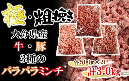 2589R-2_極・粗挽き! 大分県産 牛 ･ 豚 3種のパラパラミンチ 挽肉 各500g×2P ひき肉 あらびき 便利 国産 おおいた和牛 豊後牛