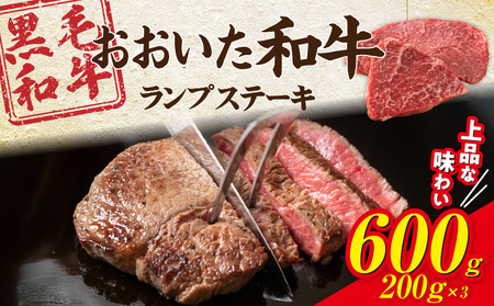yјaz A4`A5 a vXe[L 600g (200g×3) Ԑg BBQ ē ؂  Y 󏭕_2373R-2