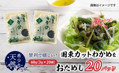 便利で嬉しい!国東カットわかめをおためし20パック_0005N-3