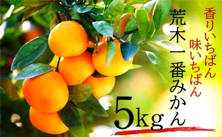 [先行予約・年内配送]令和7年12月中出荷/荒木一番みかん約5kg _1271R-1