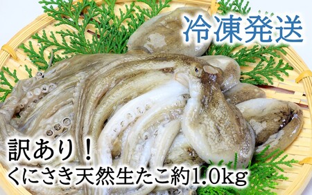 [訳あり]くにさき天然冷凍生たこ約1.0kg_2653R-1