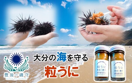 豊後の磯守 粒うに 60g×2本 _2522R
