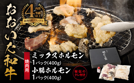 [秘伝のタレ付]おおいた和牛 ミックス・小腸ホルモン 各400g_2679R 焼肉 バーベキュー BBQ ミシュラン 高級店