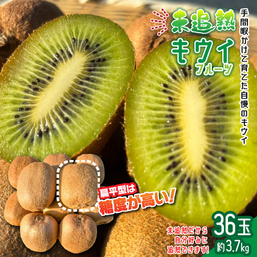 未追熟キウイフルーツ 扁平型 36玉(約3.7kg)_2753R