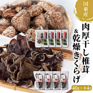29060A_国東産の肉厚干し椎茸(冬菇)&乾燥きくらげ・通