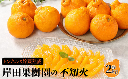 冷蔵発送/岸田果樹園の不知火約2kg_1744R