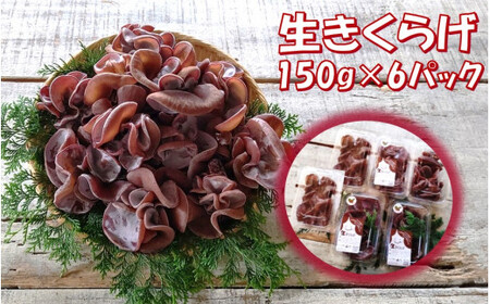 1798R_[希少/申込9月15日まで]純国産 生きくらげ900g(150g×6パック)