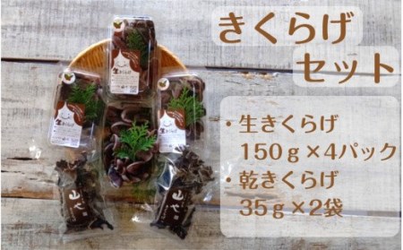 1799R_[希少/申込9月15日まで]きくらげセット(生きくらげ150g×4パック・乾きくらげ35g×2袋)