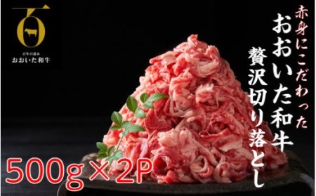Ԑg|IaEfEؗ1kg_1819R
