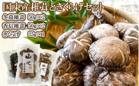 1747R_[数量限定]山やの乾しいたけときくらげのセット 希少 純国産 きくらげ_1747R