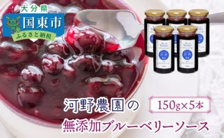 河野農園の無添加ブルーベリーソース150g×5本_1450R