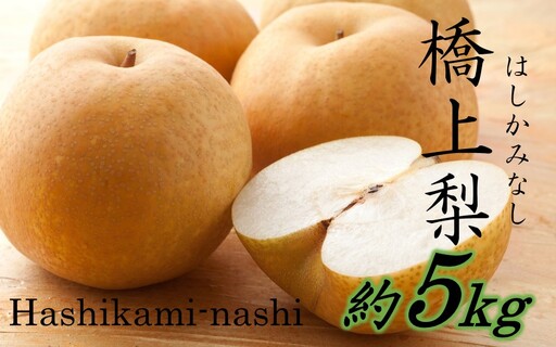 【先行予約】令和8年発送 /辰口農園の橋上梨約5kg（品種:新星）_1019R