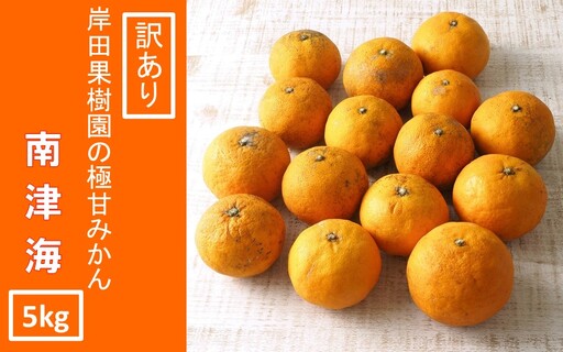 【訳あり】南津海（なつみ）みかん約5kg_2170R