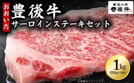 L㋍T[CXe[LZbg 1kg(250g×4)@D7