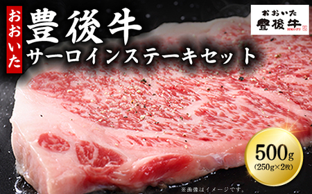 豊後牛サーロインステーキセット500g(250g×2枚) D6-S