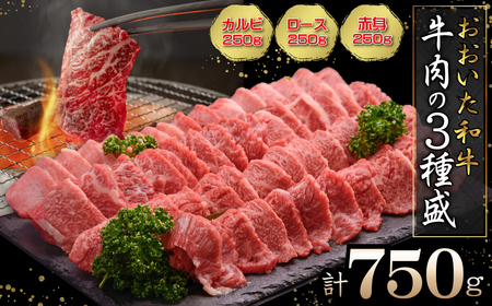おおいた和牛 牛肉の3種盛(カルビ・ロース・赤身)合計750g