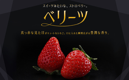 大分県産 ベリーツ 約270g×2パック J1