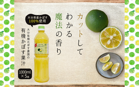 L@ڂʏ`100% 1000ml×5{Zbg K9