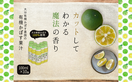 L@ڂʏ`100% 100ml×10{Zbg K10