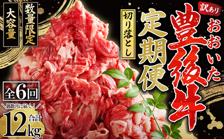 [定期便]偶数月に届く!おおいた豊後牛 切り落とし2kg(500g×4パック)×6回