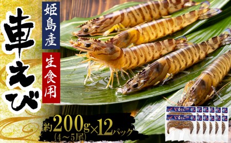 生食用凍眠凍結姫島車えび(養殖)約200g(4尾〜5尾)×12パック A6