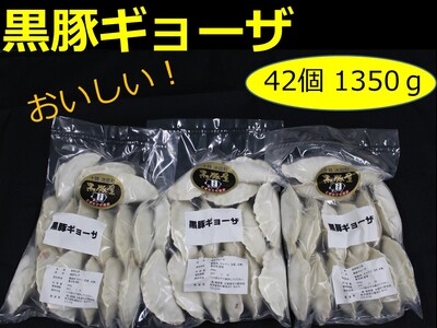 [北海道]お肉ぎっしり!黒豚ギョーザ45個 ぎょうざ 餃子 ギョウザ 豚肉 豚 北海道豚