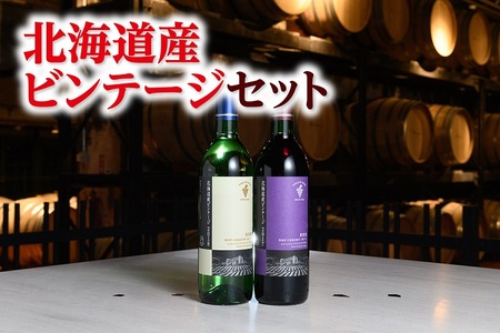 [北海道]北海道産ビンテージ2本 十勝ワイン 辛口ワイン 北海道ワイン 人気ワイン ビンテージ 北海道ワイン 国内ワイン ワイン ワイン ビンテージ ワイン 国内ワイン ワイン ワイン ビンテージ ワイン