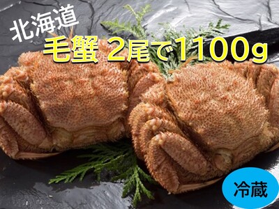 12月15日までのお申し込みで年内配送 活ゆで毛蟹 2尾で1100g[冷蔵]国産 北海道産 毛ガニ かに 毛蟹 旬 けがに 蟹 毛かに 毛がに