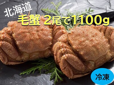 活ゆで毛蟹(L)2尾で計1100g[冷凍]北海道 毛ガニ 毛がに カニ かに