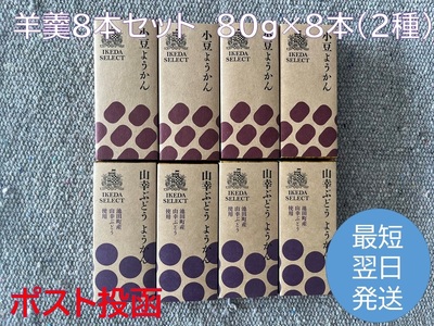 北海道 羊羹 8本 2種 最短翌日発送 ポスト投函 お菓子のかほり 食べきりサイズ 80g×8本 常温 ようかん 羊かん ヨウカン 餡子 ぶどう