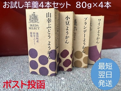 北海道 羊羹 お試し4種4本 最短翌日発送 ポスト投函 お菓子のかほり 食べきりサイズ 80g×4本 常温 ようかん 羊かん ヨウカン 餡子 ぶどう