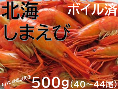新物6月配送 北海縞海老(シマエビ) 500g Sサイズ 40~44尾 えび しまえび 北海道しまえび エビ 海老 冷凍 ボイル済 冷凍