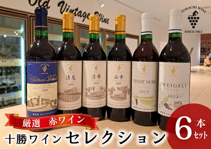 [厳選赤ワイン]十勝ワイン6本セレクション 北海道池田町 赤ワイン 本格派 十勝ワイン ビンテージ 赤ワインセット