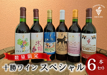 [数量限定]十勝ワインスペシャル6本 特別醸造 限定ラベル 赤ワイン 北海道池田町