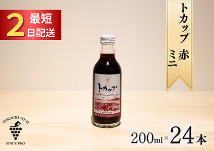 十勝ワイン ミニボトル24本(赤)200ml×24本 赤ワイン 飲み切り お申込みから最短2日発送