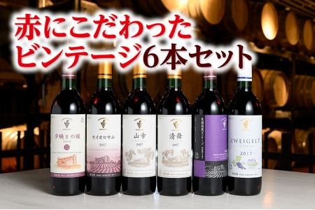 【北海道】赤にこだわったビンテージ6本　十勝ワイン　C001-1-1