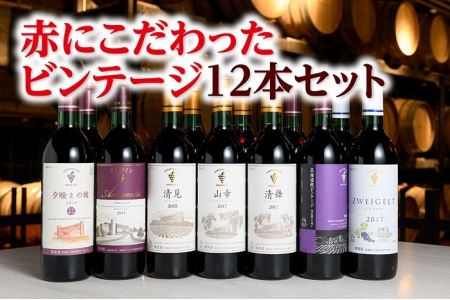 [北海道]赤にこだわったビンテージ12本 人気ワイン ビンテージワイン ワイン 北海道ワイン 本格派ワイン こだわりワイン ワイン 北海道ワイン 国内ワイン ワイン ワイン ビンテージ ワイン 国内ワイン ワイン ワイン ビンテージ ワイン