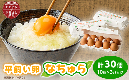 平飼い卵なちゅら(30ヶ入り)_卵 たまご 玉子 タマゴ 鶏卵 まとめ買い オムレツ 卵かけご飯 朝食 料理 人気 美味しい_[配送不可地域:離島]