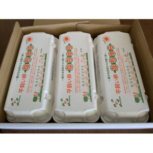 [発送月固定定期便]平飼い卵なちゅら(30ヶ入り)全6回_卵・乳製品 卵 たまご タマゴ 玉子 定期便 定期便 _[配送不可地域:離島]
