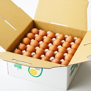 大分生まれのAW飼い有精卵「豊の米卵」60個入り_卵・乳製品 卵  たまご タマゴ 玉子_【配送不可地域：離島】【1610936】