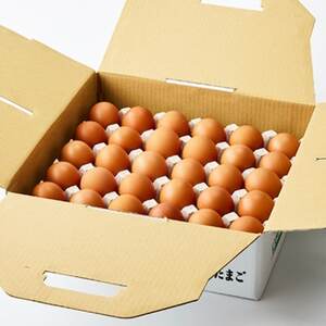 大分生まれのAW飼い有精卵「豊の米卵」30個入り_卵・乳製品 卵  たまご タマゴ 玉子_【配送不可地域：離島】【1610938】