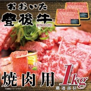 L㋍ēp 1kg(500g×2P)(o)_ ē  ₫ɂ LjN o[xL[   јa  _yzsnFzy1571694z