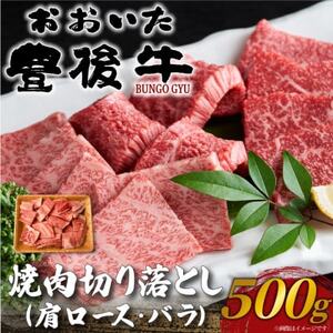 L㋍ē؂藎Ƃ 500g(o)_ ē  ₫ɂ LjN o[xL[   јa  _yzsnFzy1571734z