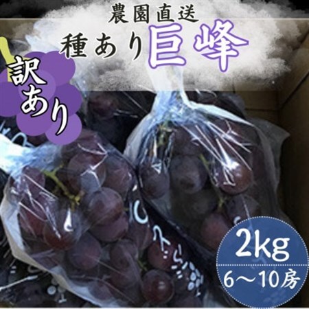 [訳あり]巨峰(種あり) 約2kg(6〜10房)[配送不可地域:離島]